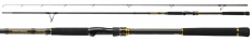 Спиннинг Daiwa NEW Morethan Branzino AGS 110 H-J